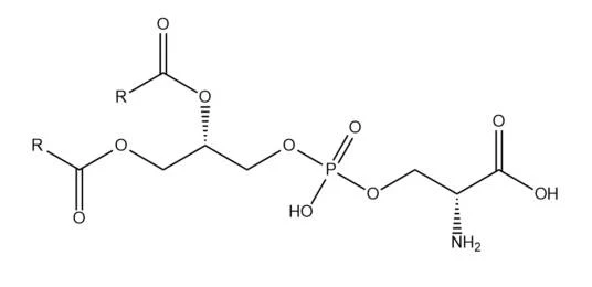Fosfatidilserin